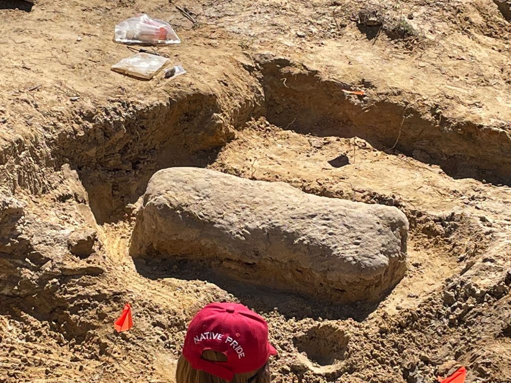 large fossil in the ground partially uncovered