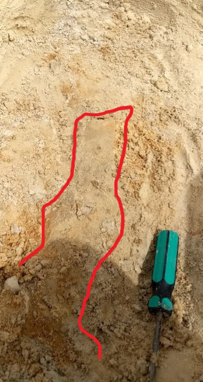 fossil of a limb bone mostly uncovered, still in the ground, A red line is drawn on the image around the fossil
