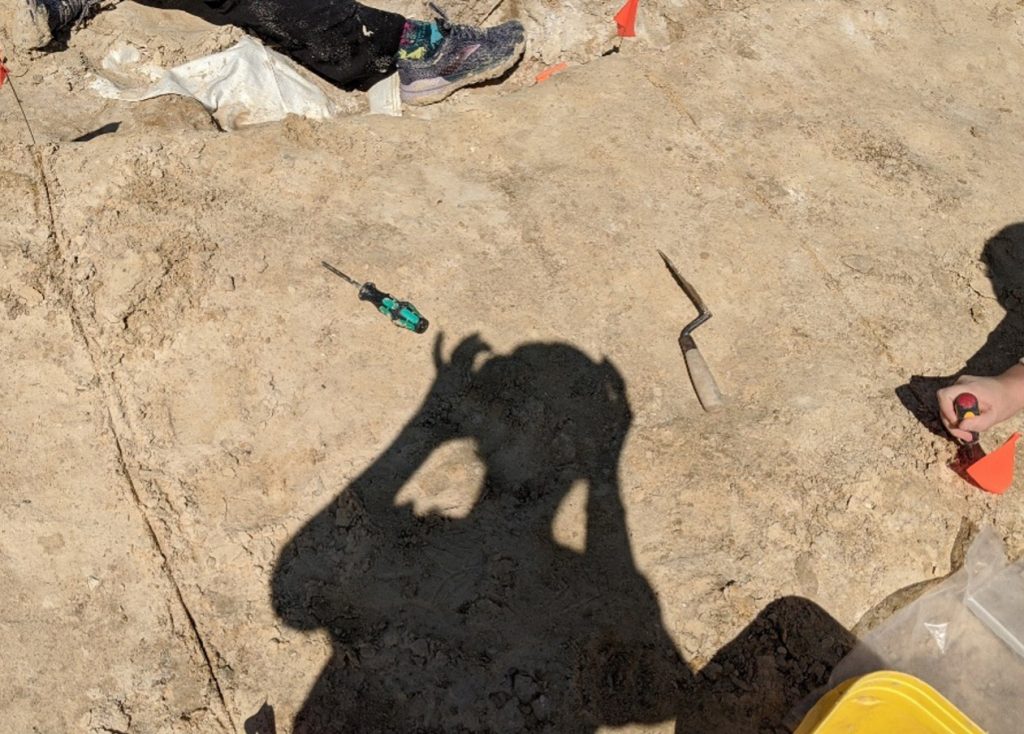 dig site, with the shadow of a person taking the photo