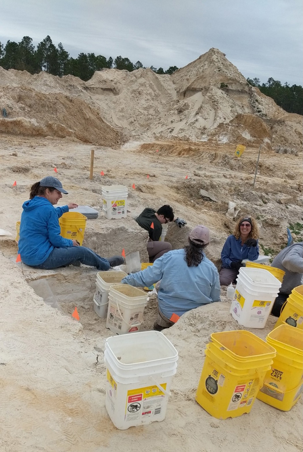 people sitting, working and taking in the dig site