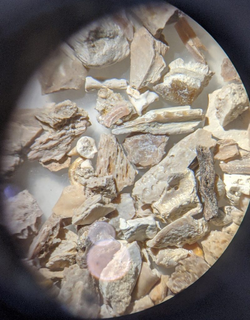 close up of sediment