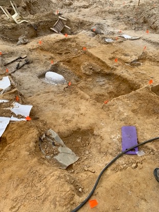 several square pits dug into reddish sand, in one is a white plaster jacket