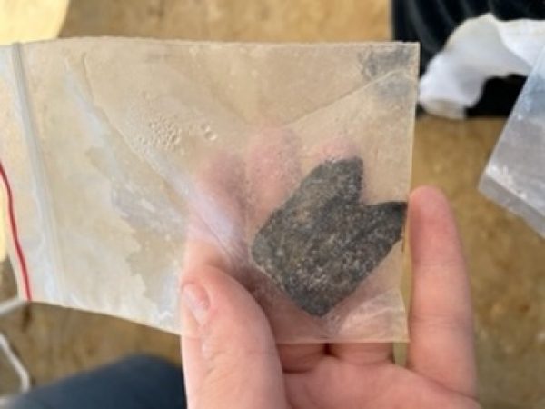 fossil in a plastic specimen bag