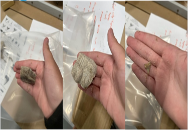 three images of a hand holding a fossil