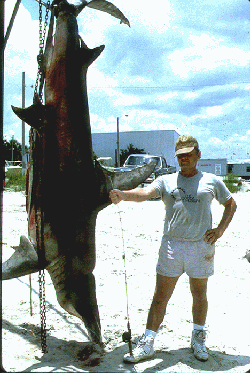 Fisherman next to shark