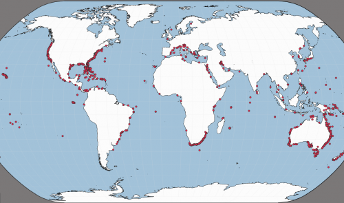 Unprovoked Shark Attack Interactive Map – International Shark Attack File