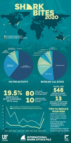 JPG ALL 20210108 Shark Attack Infographic JD 1