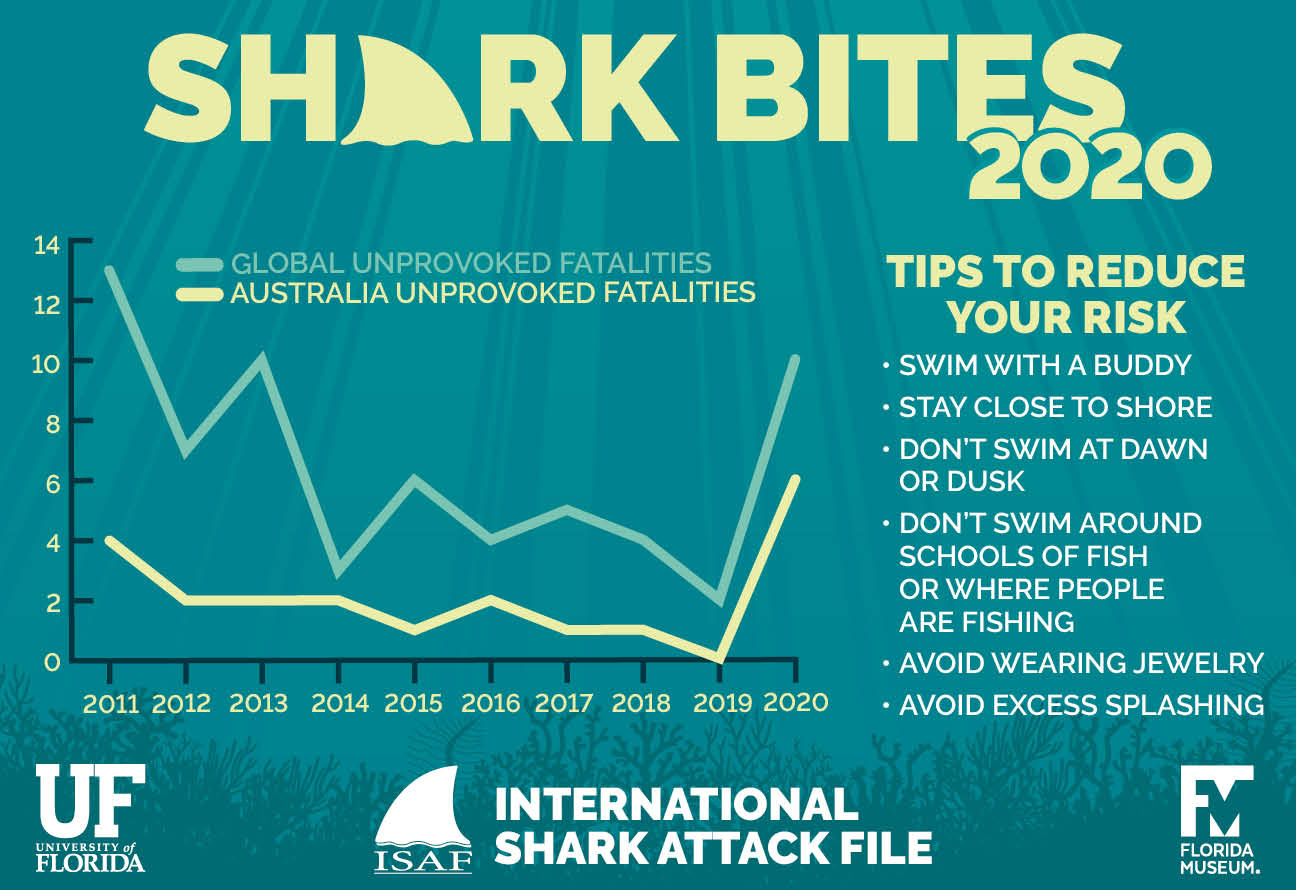 Quick guide to the 2020 ISAF Annual Report International Shark Attack