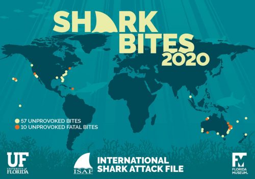 Quick guide to the 2020 ISAF Annual Report – International Shark Attack