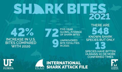 Quick Guide to the 2021 ISAF annual report – International Shark Attack