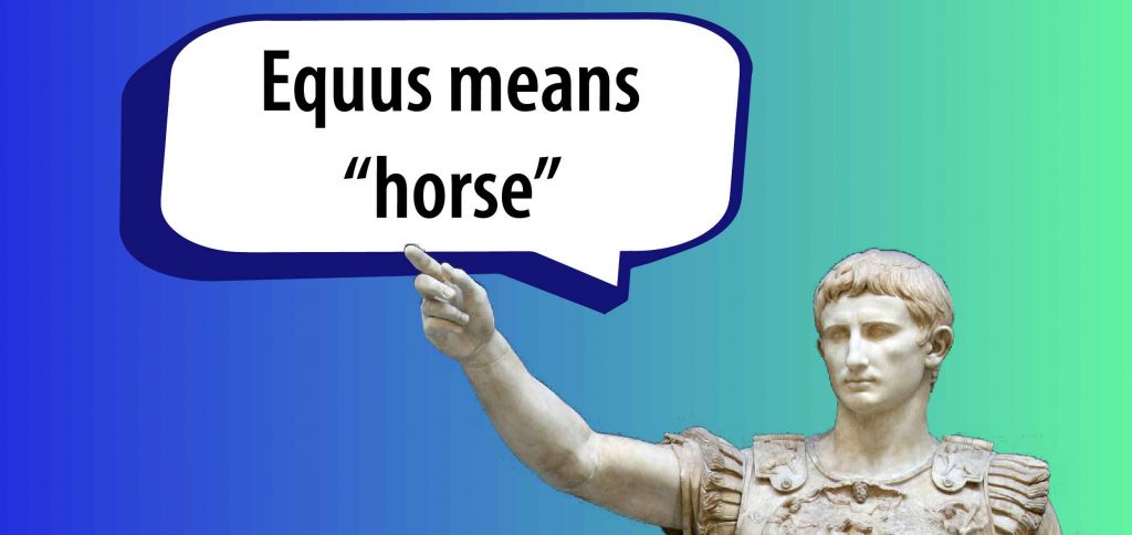 Augustus Equus