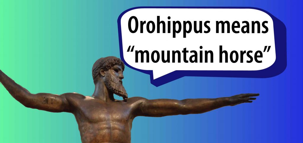 Orohippus means "mountain horse"