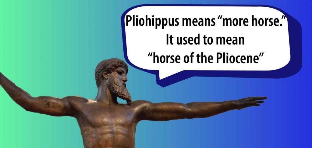 Pliohippus means "more horse." It used to mean "horse of the Pliocene."