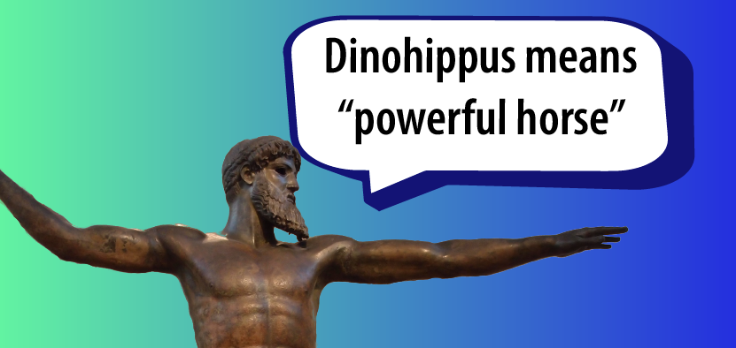 Dinohippus means "powerful horse"