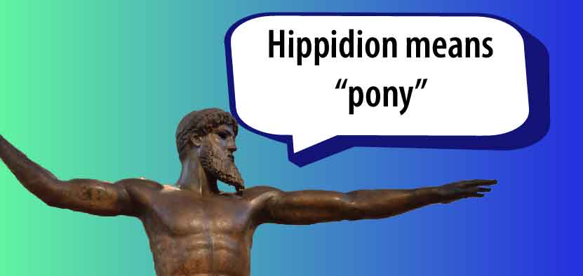 Hippidion means “pony”