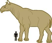 diagram of person standing next to Indricotherium for comparison