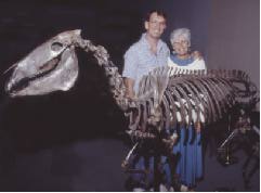 Steve and Sue Hutchins stand next to mounted skeleton