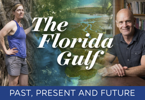 florida gulf past present and future