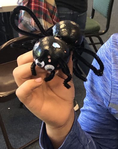 student ant model