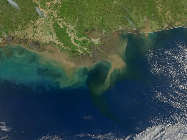 sediment in the Gulf of Mexico