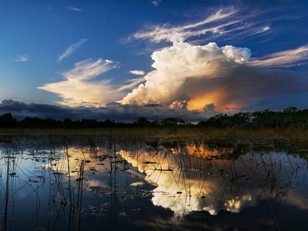 everglades