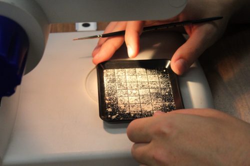 Grabbing small foram specimens using microscope