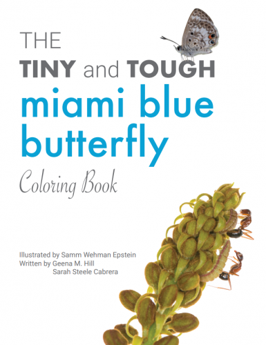 miami blue coloring book