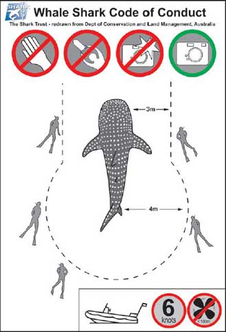 whale shark code of conduct