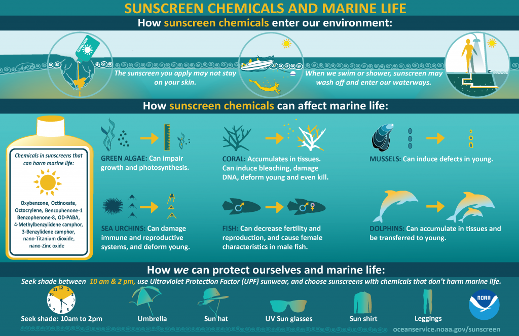 NOAA Coral and Sunscreens Infographic