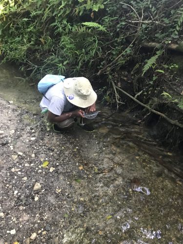 fossil collecting in creek