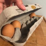Eggs in Cardboard Container