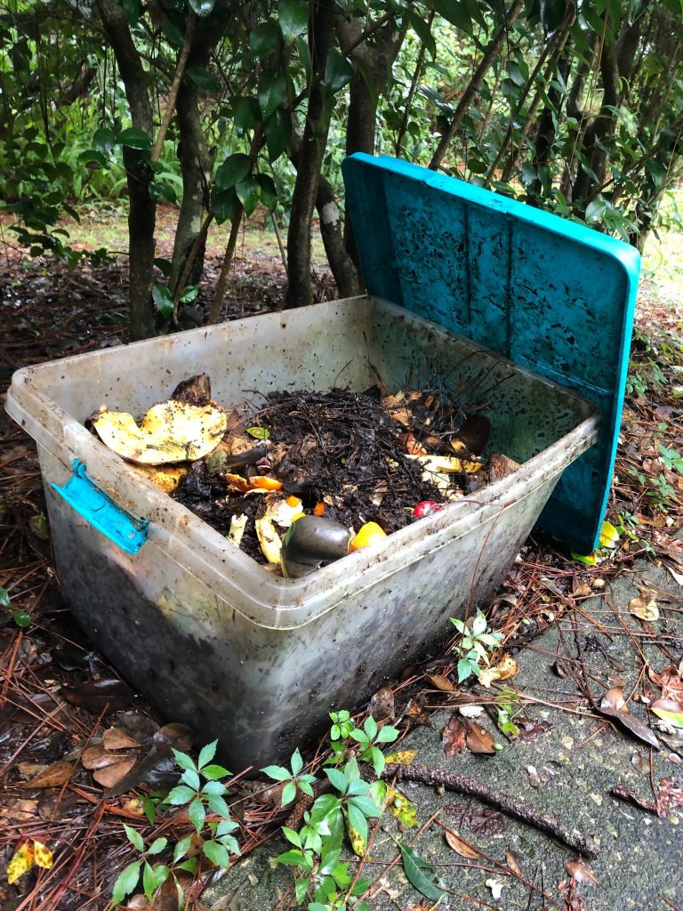 Action of the Month Try your Hand at Home Composting Thompson Earth Systems Institute