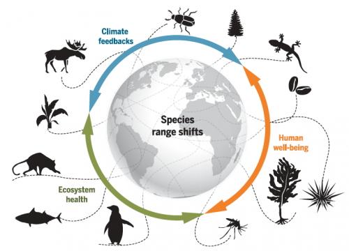 future animals on earth