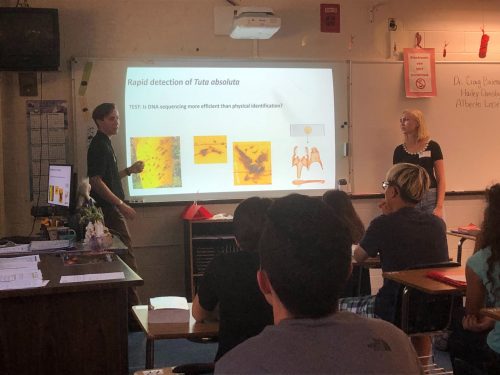 scientists showing powerpoint to class of moths