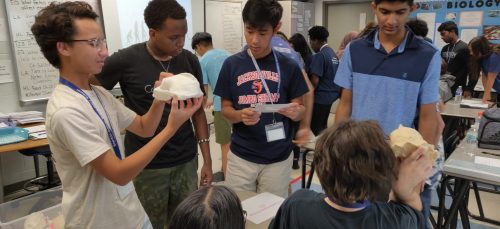 student group discussing skull