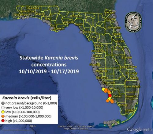 red tide current status map 10/18