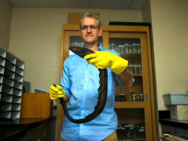 professor will crampton