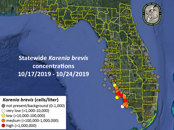 a map by the Florida fish and wildlife conservation commission showing concentrations of red tide in southwest florida