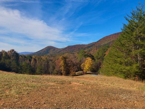 Fall Foliage