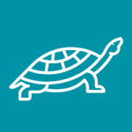 turtle graphic