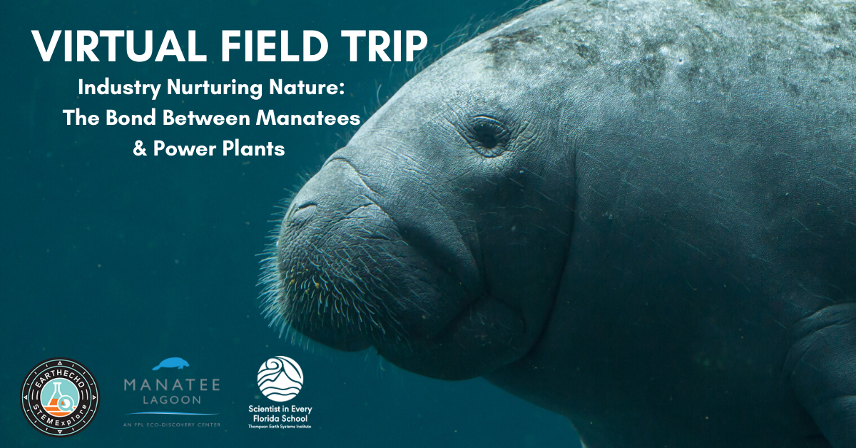 Virtual Field Trip ‘Industry Nurturing Nature: The Bond Between