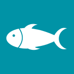 fish graphic