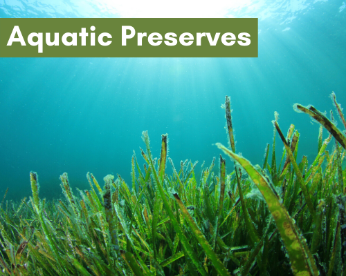Pictures of aquatic preserves