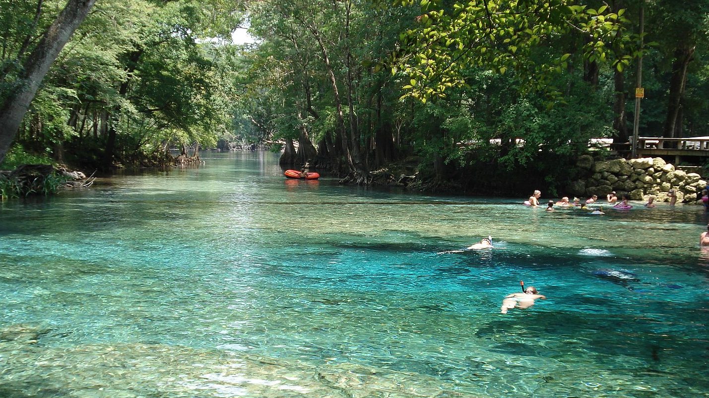 ginnie springs