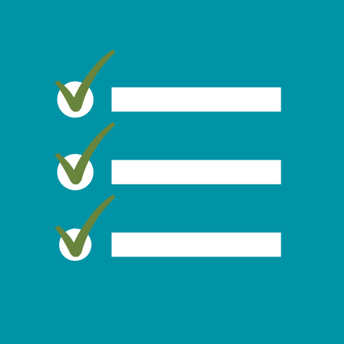 check list icon