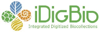 IDigBio logo