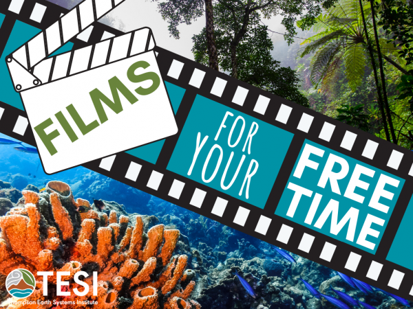 header for films for your free time