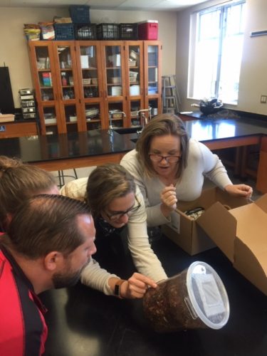 Teachers gather around mite media specimens