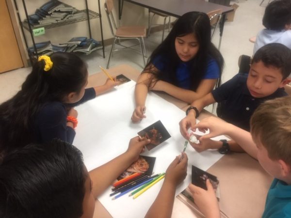 kids study 3D bat skull