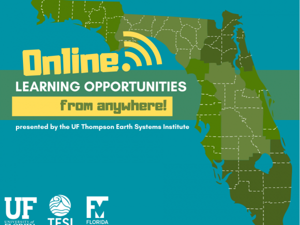 Online learning opportunities